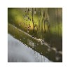 View of water rolling down
