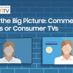 Seeing the Big Picture: Commerical Displays or Consumer TVs